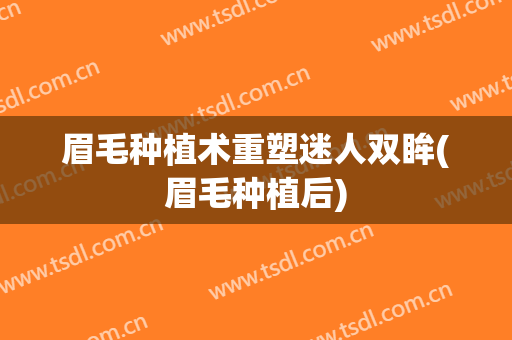 眉毛种植术重塑迷人双眸(眉毛种植后)