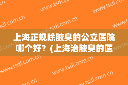 上海正规除腋臭的公立医院哪个好？(上海治腋臭的医院哪家好)