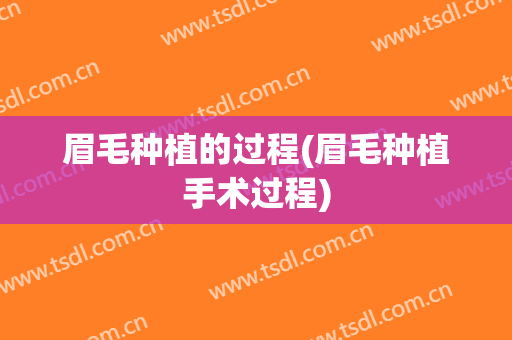 眉毛种植的过程(眉毛种植手术过程)