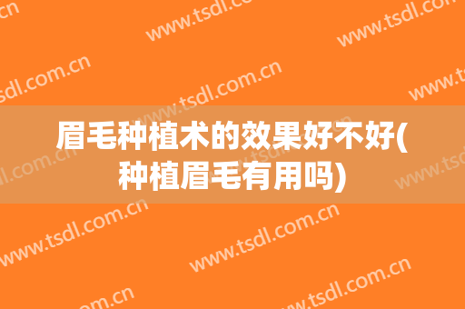 眉毛种植术的效果好不好(种植眉毛有用吗)