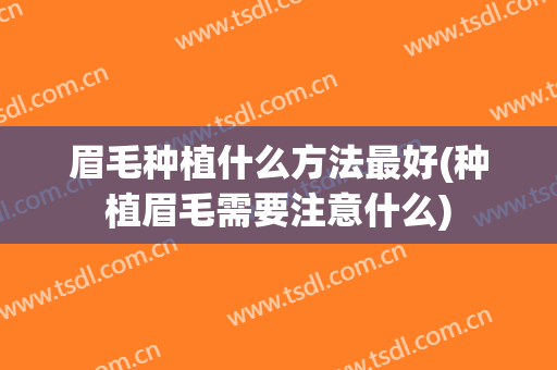 眉毛种植什么方法最好(种植眉毛需要注意什么)