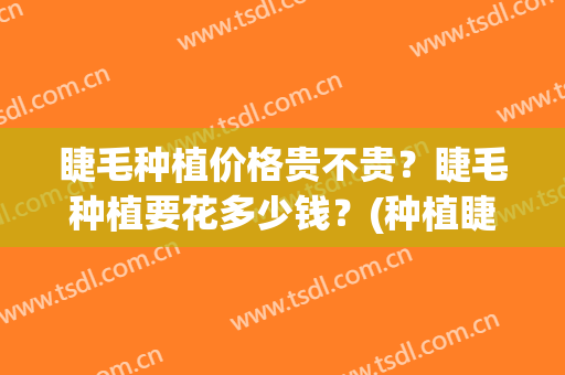 睫毛种植价格贵不贵？睫毛种植要花多少钱？(种植睫毛大概多少钱)
