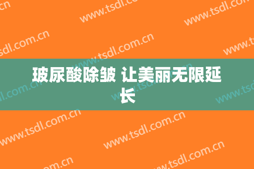 玻尿酸除皱 让美丽无限延长