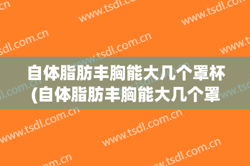 自体脂肪丰胸能大几个罩杯(自体脂肪丰胸能大几个罩杯杨佳琦)
