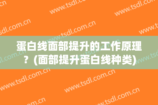 蛋白线面部提升的工作原理？(面部提升蛋白线种类)