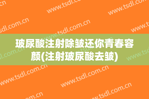 玻尿酸注射除皱还你青春容颜(注射玻尿酸去皱)