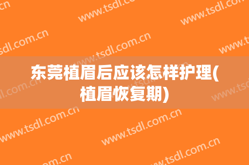 东莞植眉后应该怎样护理(植眉恢复期)