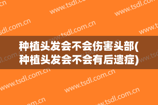 种植头发会不会伤害头部(种植头发会不会有后遗症)