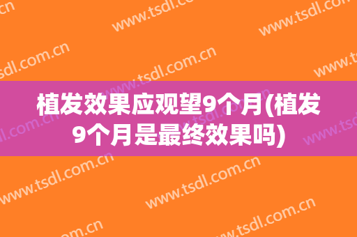 植发效果应观望9个月(植发9个月是最终效果吗)
