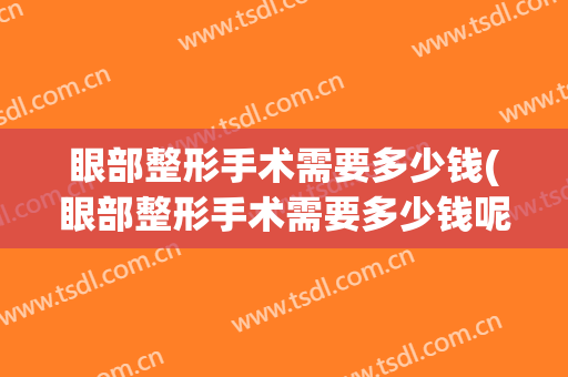 眼部整形手术需要多少钱(眼部整形手术需要多少钱呢)