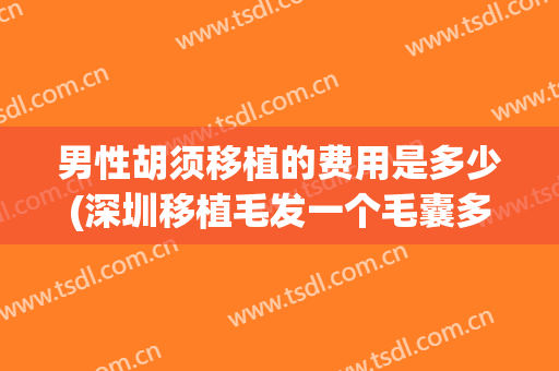男性胡须移植的费用是多少(深圳移植毛发一个毛囊多少钱)
