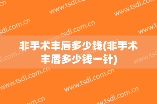 非手术丰唇多少钱(非手术丰唇多少钱一针)