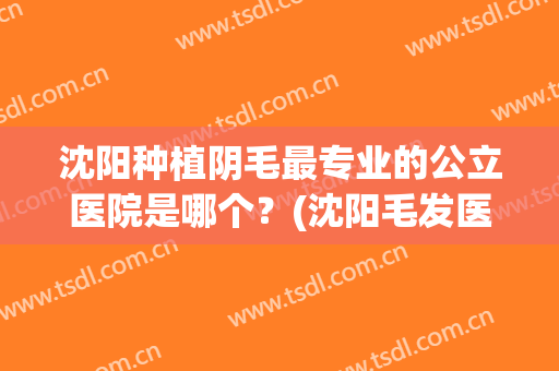 沈阳种植阴毛最专业的公立医院是哪个？(沈阳毛发医院哪家好)