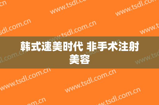 韩式速美时代 非手术注射美容