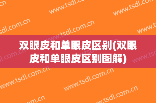 双眼皮和单眼皮区别(双眼皮和单眼皮区别图解)