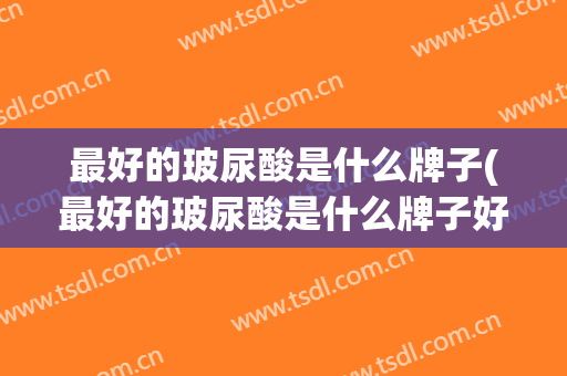 最好的玻尿酸是什么牌子(最好的玻尿酸是什么牌子好)