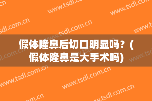 假体隆鼻后切口明显吗？(假体隆鼻是大手术吗)