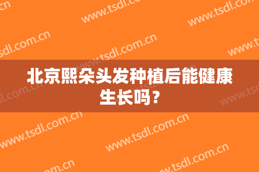 北京熙朵头发种植后能健康生长吗？