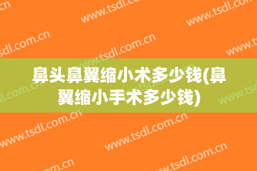 鼻头鼻翼缩小术多少钱(鼻翼缩小手术多少钱)