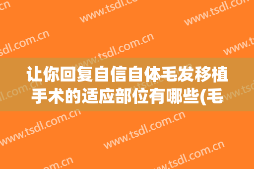 让你回复自信自体毛发移植手术的适应部位有哪些(毛发移植术亲身经历)
