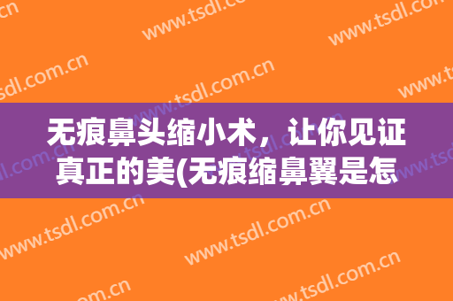 无痕鼻头缩小术，让你见证真正的美(无痕缩鼻翼是怎么做的)
