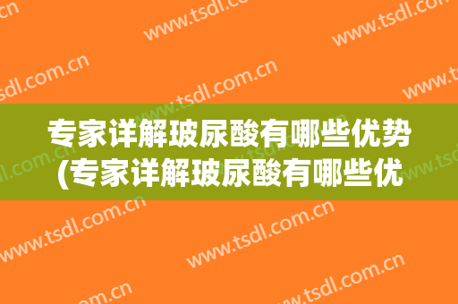 专家详解玻尿酸有哪些优势(专家详解玻尿酸有哪些优势与劣势)
