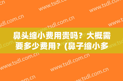 鼻头缩小费用贵吗？大概需要多少费用？(鼻子缩小多少费用)