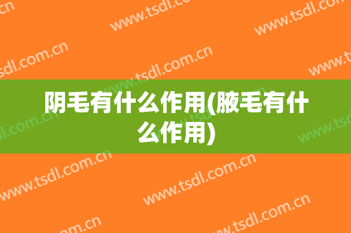 阴毛有什么作用(腋毛有什么作用)