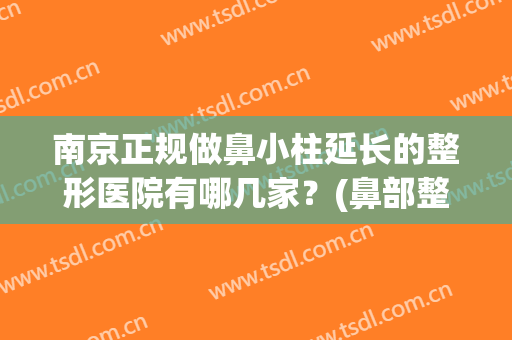 南京正规做鼻小柱延长的整形医院有哪几家？(鼻部整形鼻小柱延长)