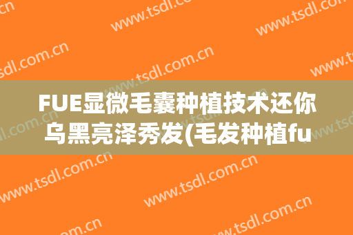 FUE显微毛囊种植技术还你乌黑亮泽秀发(毛发种植fue和fut)
