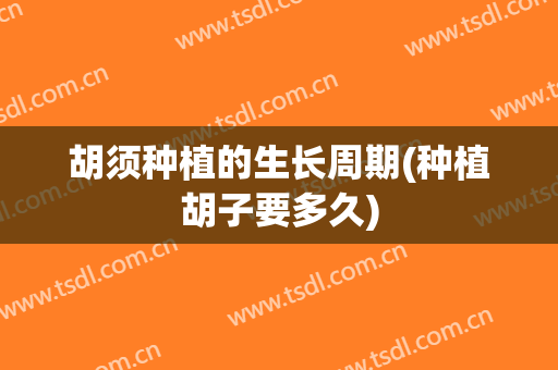 胡须种植的生长周期(种植胡子要多久)
