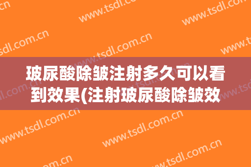 玻尿酸除皱注射多久可以看到效果(注射玻尿酸除皱效果好)