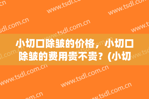 小切口除皱的价格，小切口除皱的费用贵不贵？(小切口除皱好吗)
