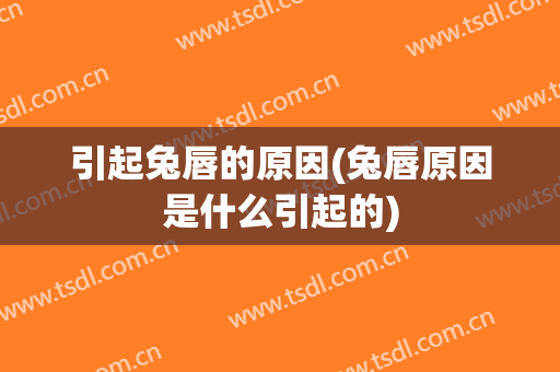 引起兔唇的原因(兔唇原因是什么引起的)