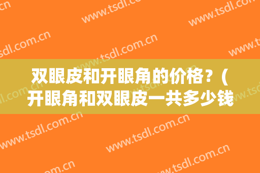 双眼皮和开眼角的价格？(开眼角和双眼皮一共多少钱)