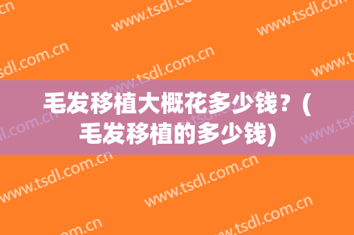 毛发移植大概花多少钱？(毛发移植的多少钱)