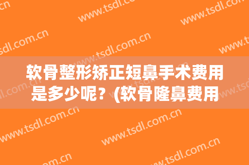 软骨整形矫正短鼻手术费用是多少呢？(软骨隆鼻费用)
