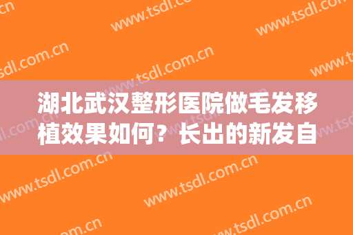 湖北武汉整形医院做毛发移植效果如何？长出的新发自然吗？(毛发移植整形疤痕整形)