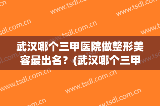武汉哪个三甲医院做整形美容最出名？(武汉哪个三甲医院整形美容科最好)