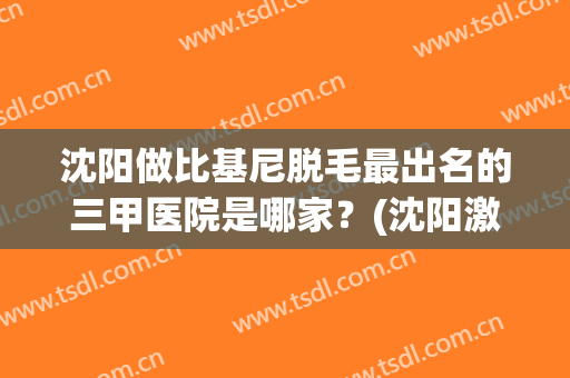 沈阳做比基尼脱毛最出名的三甲医院是哪家？(沈阳激光脱毛哪家好)