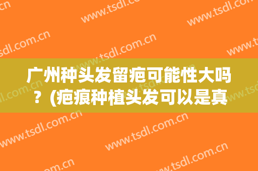 广州种头发留疤可能性大吗？(疤痕种植头发可以是真的吗)