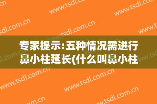 专家提示:五种情况需进行鼻小柱延长(什么叫鼻小柱延长)