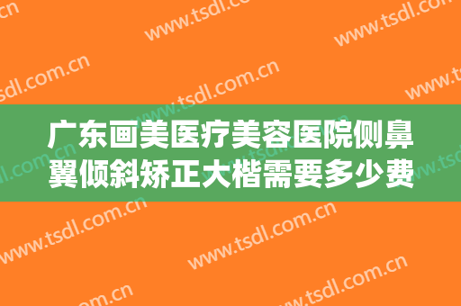 广东画美医疗美容医院侧鼻翼倾斜矫正大楷需要多少费用?可靠吗?(鼻翼矫正多少钱)