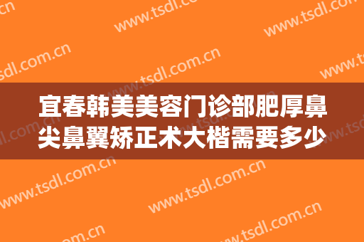 宜春韩美美容门诊部肥厚鼻尖鼻翼矫正术大楷需要多少费用?贵不贵?(宽鼻矫正术图片)
