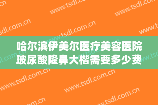 哈尔滨伊美尔医疗美容医院玻尿酸隆鼻大楷需要多少费用?贵不贵?(哈尔滨伊尔美整形医院)