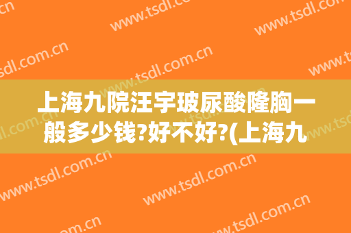 上海九院汪宇玻尿酸隆胸一般多少钱?好不好?(上海九院整形隆胸专家谁最好)