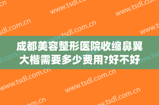 成都美容整形医院收缩鼻翼大楷需要多少费用?好不好?(鼻翼肥大整容多少钱)