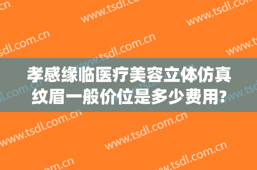 孝感缘临医疗美容立体仿真纹眉一般价位是多少费用?好不好?(孝感缘临医疗美容地址)