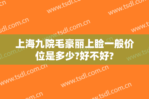 上海九院毛豪丽上睑一般价位是多少?好不好?