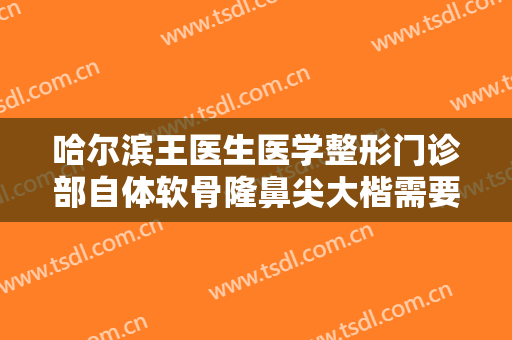 哈尔滨王医生医学整形门诊部自体软骨隆鼻尖大楷需要多少钱?贵不贵?